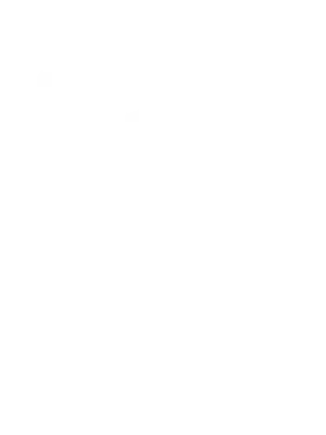 bundesliga